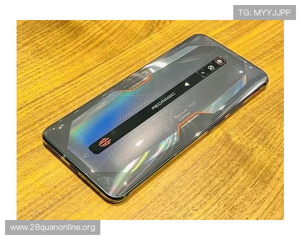 南宫手机版官方正版下载渠道推荐，确保安全稳定的游戏体验