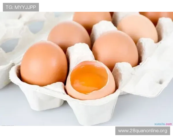 南宫娱乐官网入口地址ios便捷登录体验优化技巧